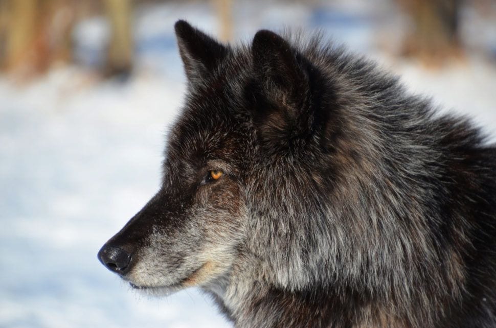 My Favorite Travel Experiences That You Probably Have Never Heard Of